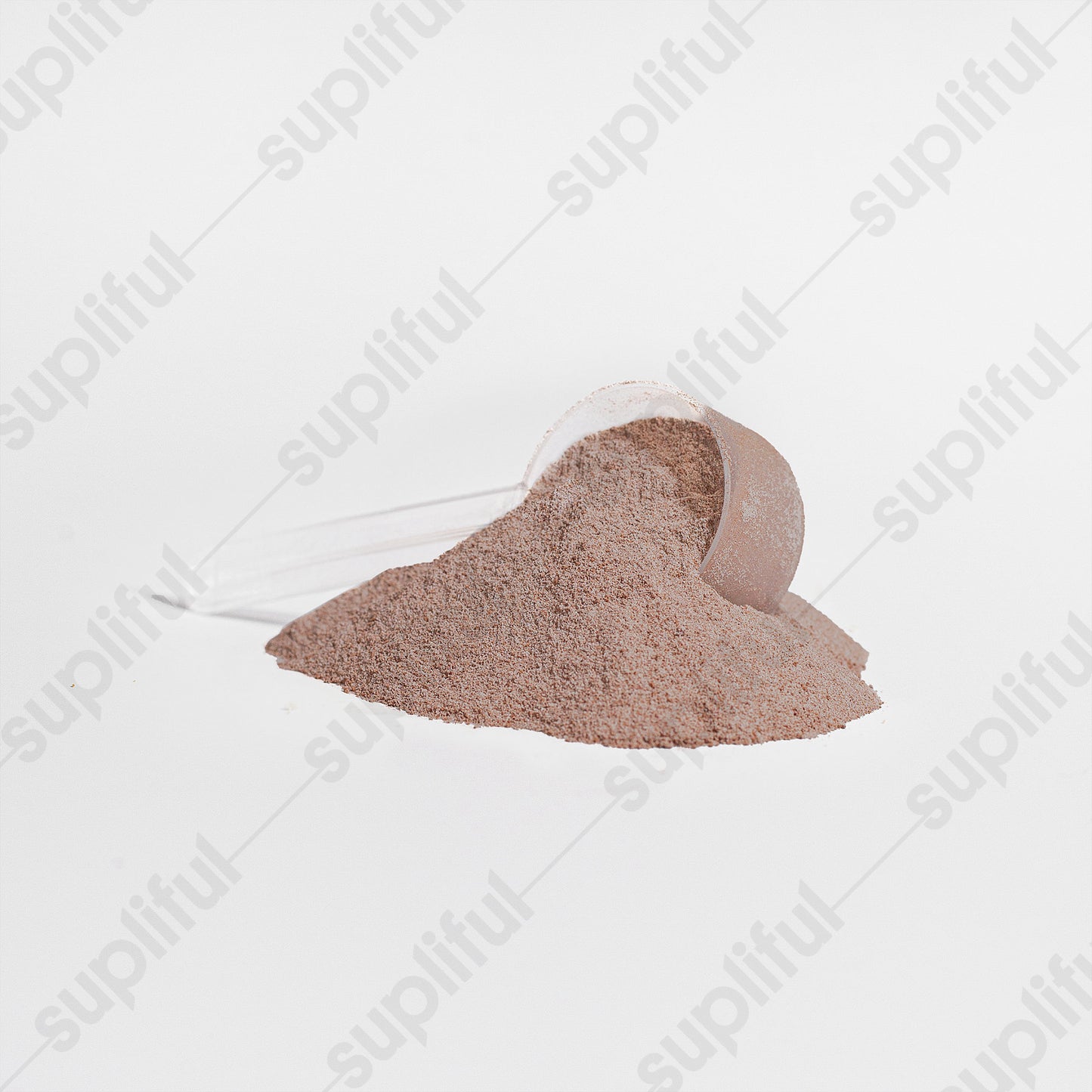 TYPE-S PROTEIN(Chocolate)